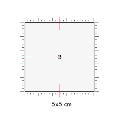 Tatuaggi temporanei personalizzati : 5 x 5 cm