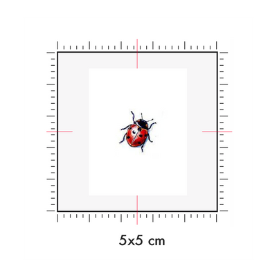 Tatuaggi temporanei personalizzati : 5 x 5 cm