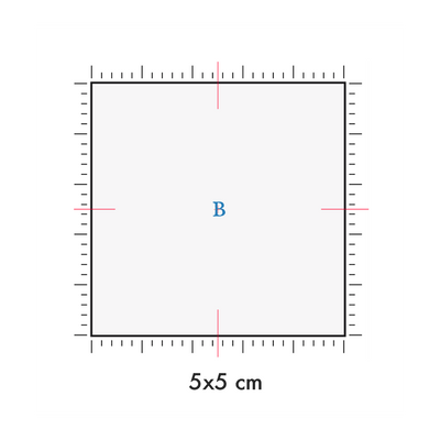 Tatuaggi temporanei personalizzati : 5 x 5 cm