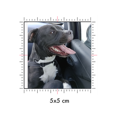 Tatuaggi temporanei personalizzati : 5 x 5 cm