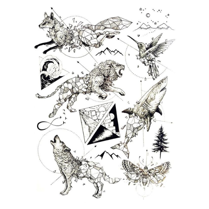 Geometric Animals