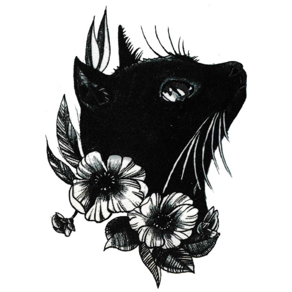 Black Cat