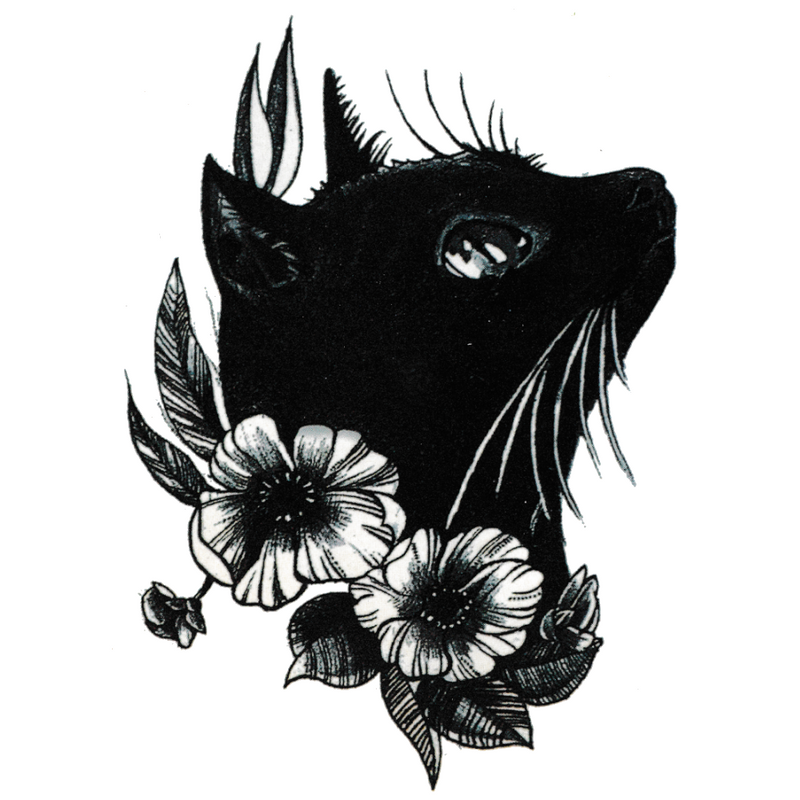 Black Cat