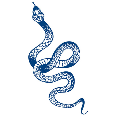 Tatuaggio Semipermanente Blue Snake