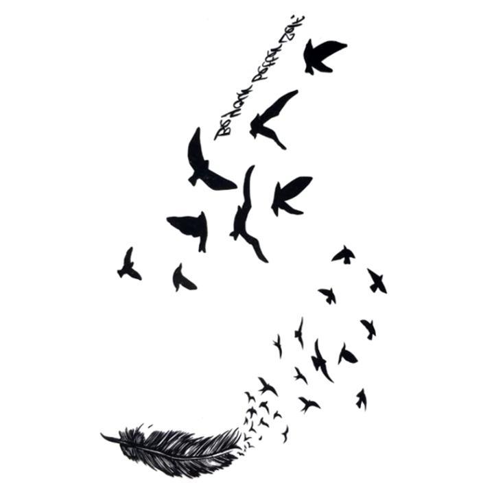 Fly