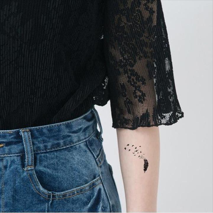 Fly