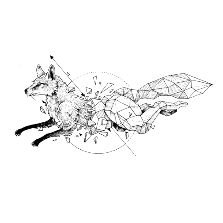 Geometric Fox