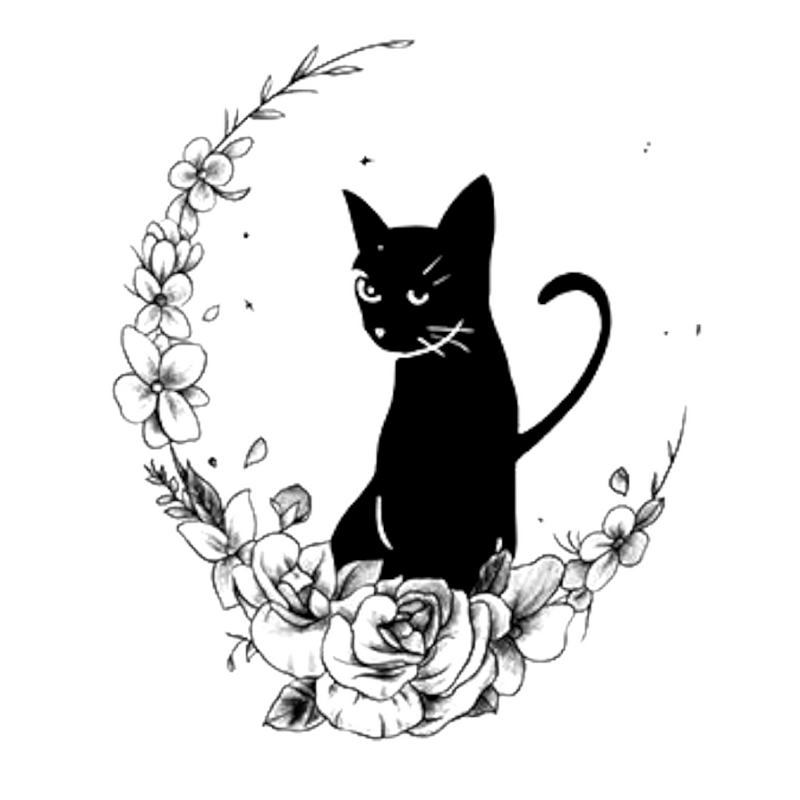 Litlle Cat