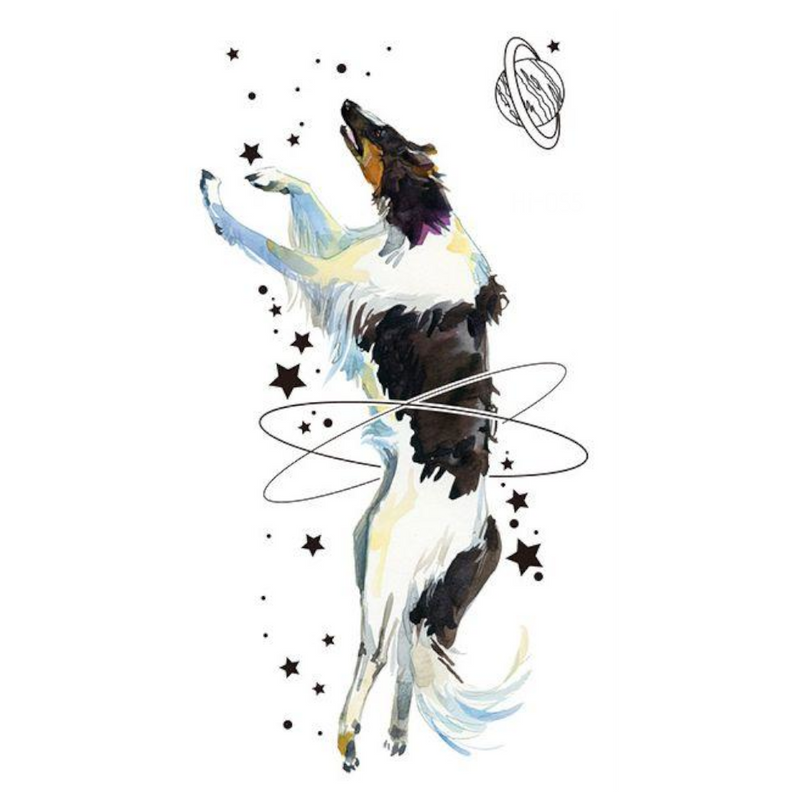 Magic Dog Fluorescente