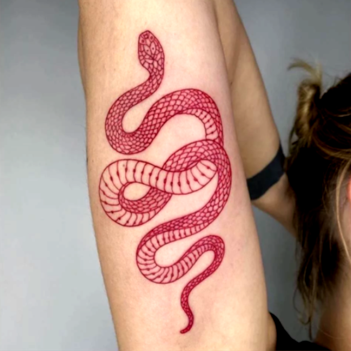 Red Snake