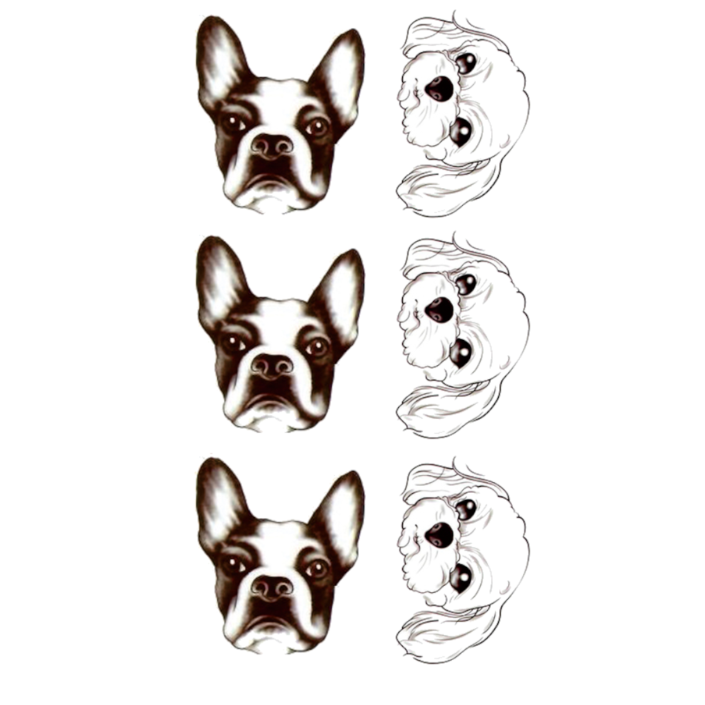 Small Dogs