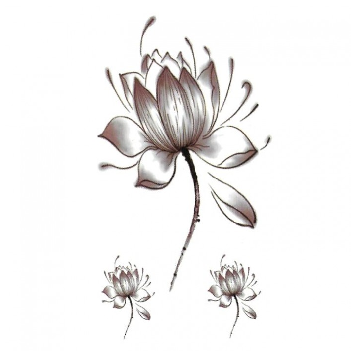 NATURA