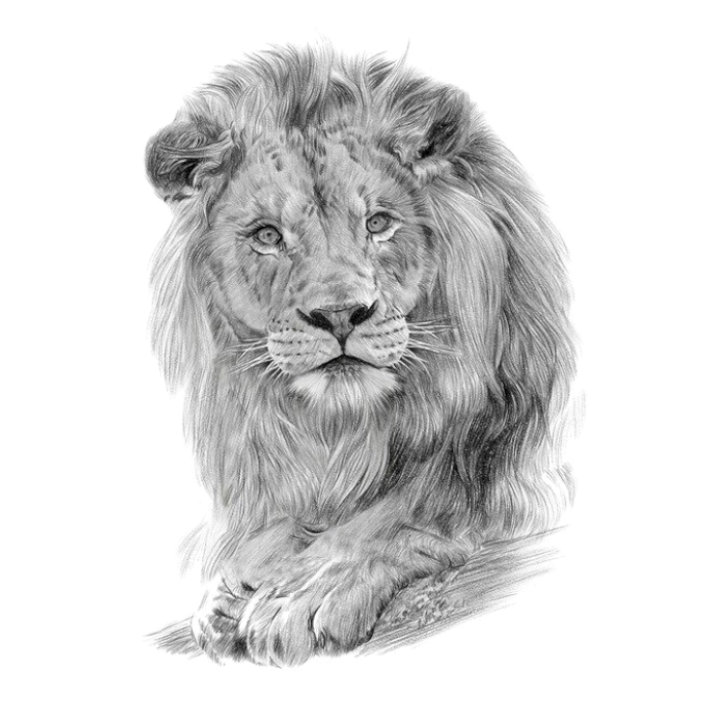 The Lion King