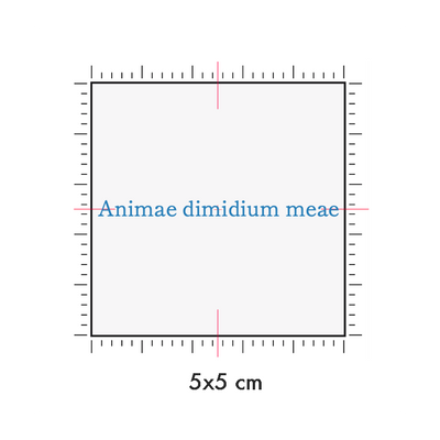 Tatuaggi temporanei personalizzati : 5 x 5 cm