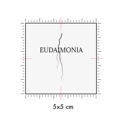 Tatuaggi temporanei personalizzati : 5 x 5 cm